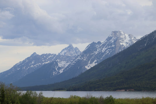 7 Days, 7 States